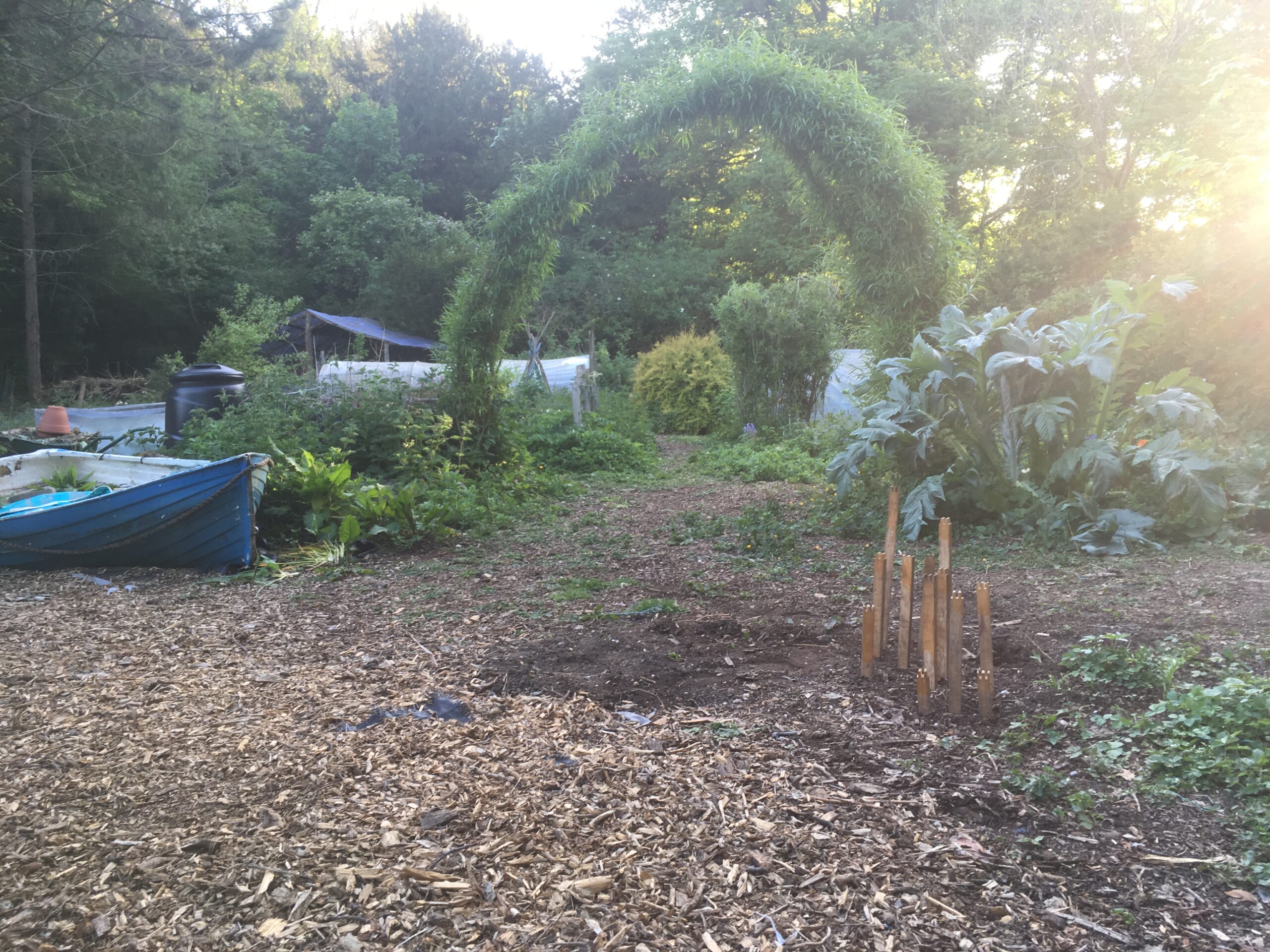 Garden work at The Plot
