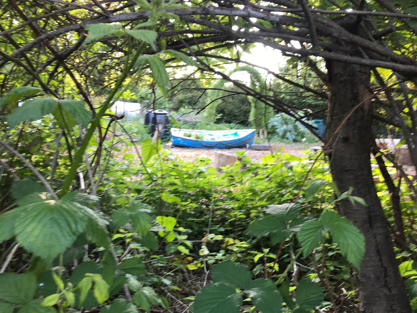 Seasonal scene at The Plot